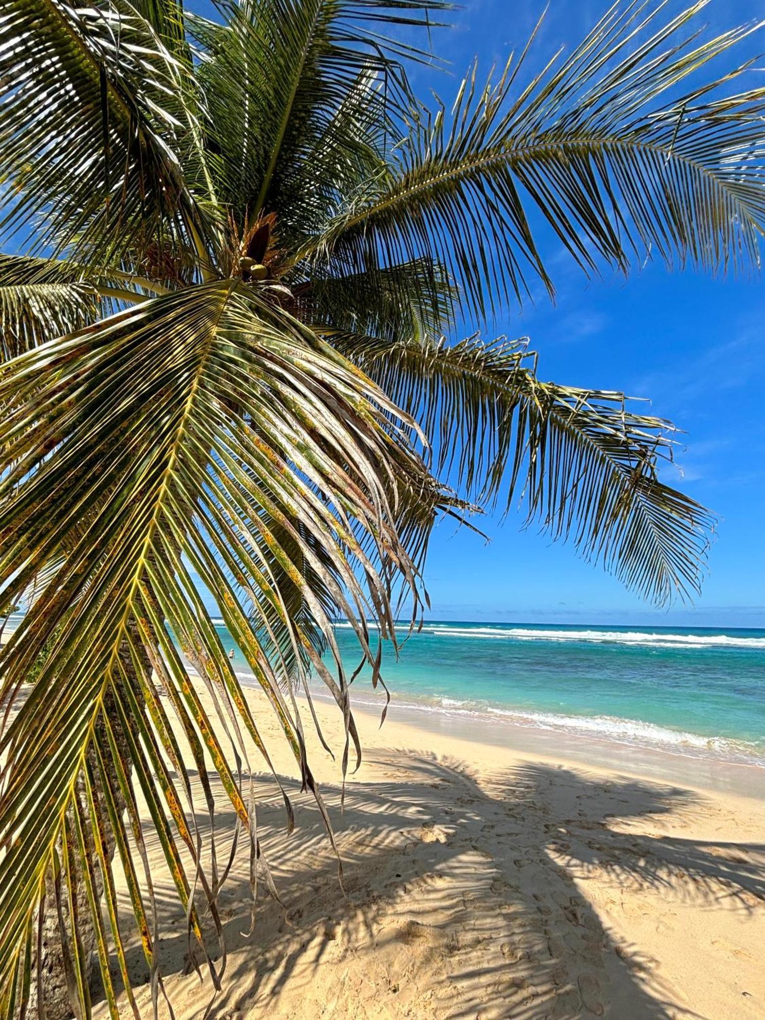 Lavann Wouj - Proche Des Plages Et Du Bourg Villa Anse-Bertrand ภายนอก รูปภาพ