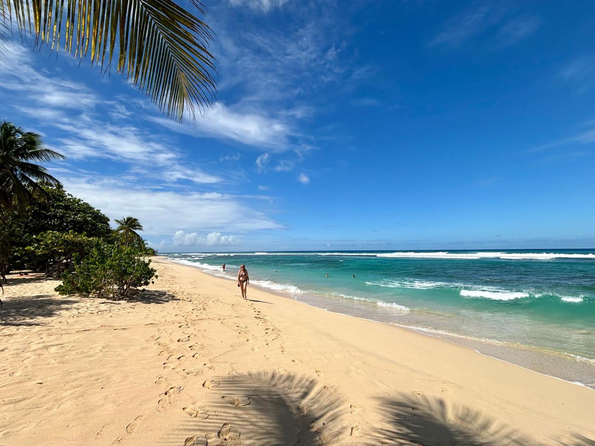 Lavann Wouj - Proche Des Plages Et Du Bourg Villa Anse-Bertrand ภายนอก รูปภาพ